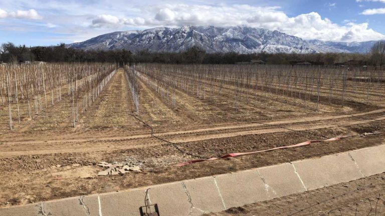 Cambio climático: se acaba el tiempo para evitar que el alza de la temperatura del planeta supere los 2°C